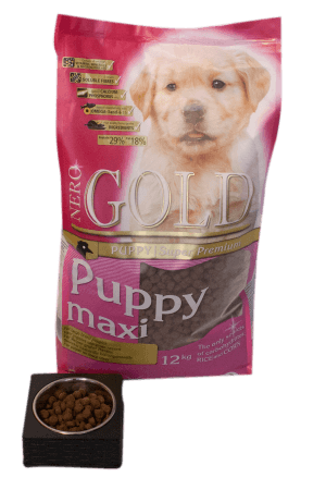 Nero Gold Puppy MAXI