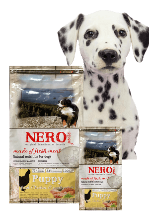 Nero PURE Puppy